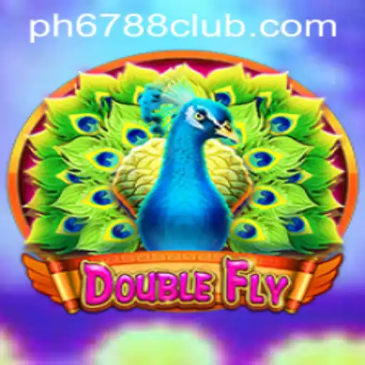 Explore the Thrilling World of DoubleFly - A New Gaming Sensation